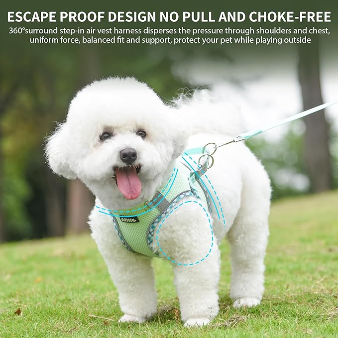 AIITLE Small Dog Harness - Breathable Double-Layer Jacquard No-Choke Vest, Durable Anti-Tear Fabric with Reflective Trim - Perfect for Running, Parties, Daily Walks (Sage, XS)