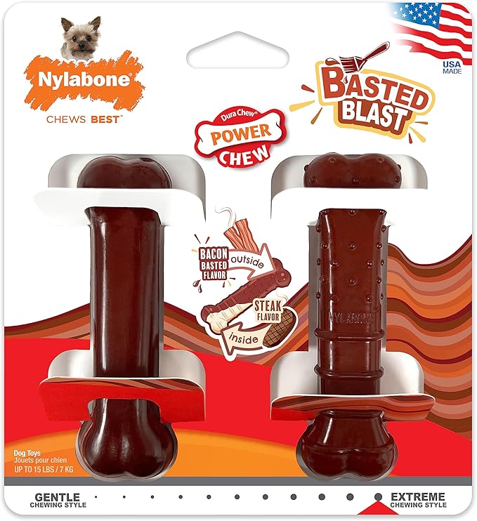 Nylabone Original & Textured Bone Power Chew Toy for Dogs, Durable & Tough Dog Toys for Aggressive Chewers, Basted Blast Bacon and Steak Flavor, X-Small Dogs - Up to 15 lbs, 2 Pack
