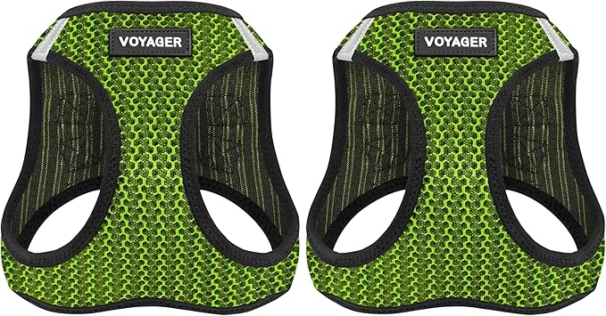 Voyager Step-in Air Dog Harness - All Weather Mesh, Reflective, No Pull Harness for Small, Medium Dogs, Cats - Secure with Hook & Loop Fastener, Buckle, Double D-Rings - Lime Green 2-Tone, XS