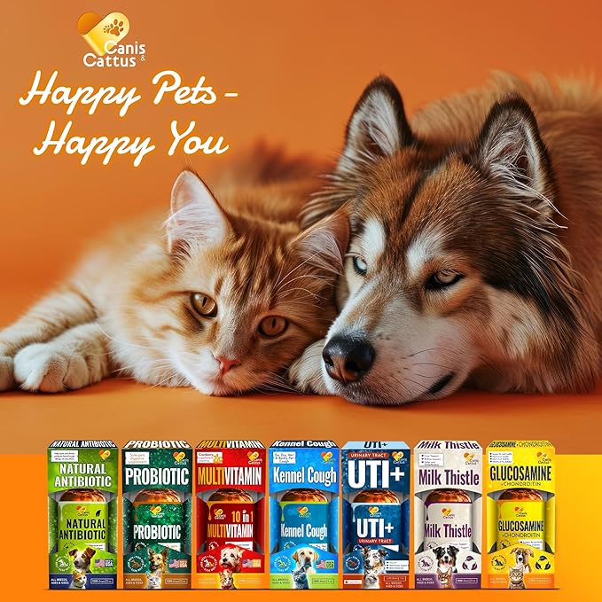 Dog UTI Treatment – Liquid Cat & Dog Vitamins – Bundle Multivitamin + UTI+ with Turkey Flavor for All Pets – Promotes Bladder & Kidney Care – Full of Vitamins C, B, D – No GMO – Bottle Set x 2 oz