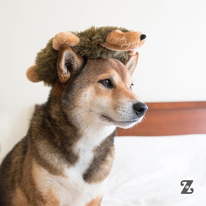 ZippyPaws Loopy - No Stuffing Dog Toys to Keep Them Busy, for Small, Medium, & Large Dogs, Squeaky Pet Toy for Boredom, Unstuffed Chew Toy, Soft Plush Puppy Products, Hedgehog - 10"