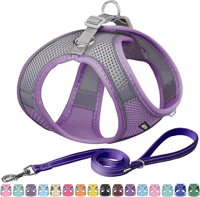 AIITLE No Pull Dog Harness and Leash Set, Step in Adjustable Dog Harness with Padded Vest for All Weather, Dog Leash with Soft Padded Handle, Easy to Put on Small and Medium Dogs Purple S