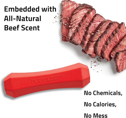 Playology Dog Toys | Durable Squeaky Chew Stick for Dogs| Medium Beef Scented Toy - Easy to Clean and Made from Non Toxic Materials