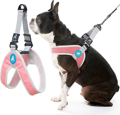 Gooby Simple Step in III Harness - Pink, X-Small - Small Dog Harness with Scratch Resistant Outer Vest - Soft Inner Mesh Harness for Small, Medium Dogs