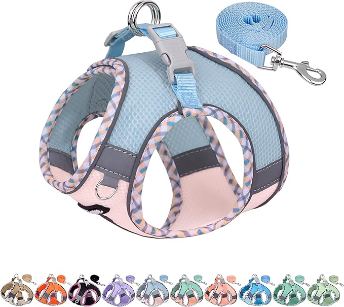 AIITLE Teacup Puppy Harness with Leash - Adjustable Soft Vest with Magic Tape & Reflective Safety Strips, Easy-Put-On for Poodles, Pomeranians - Gym, Hiking, Travel (Blue-Pink, S)