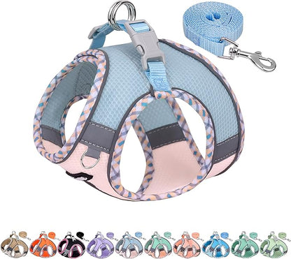 AIITLE Teacup Puppy Harness with Leash - Adjustable Soft Vest with Magic Tape & Reflective Safety Strips, Easy-Put-On for Poodles, Pomeranians - Gym, Hiking, Travel (Blue-Pink, S)