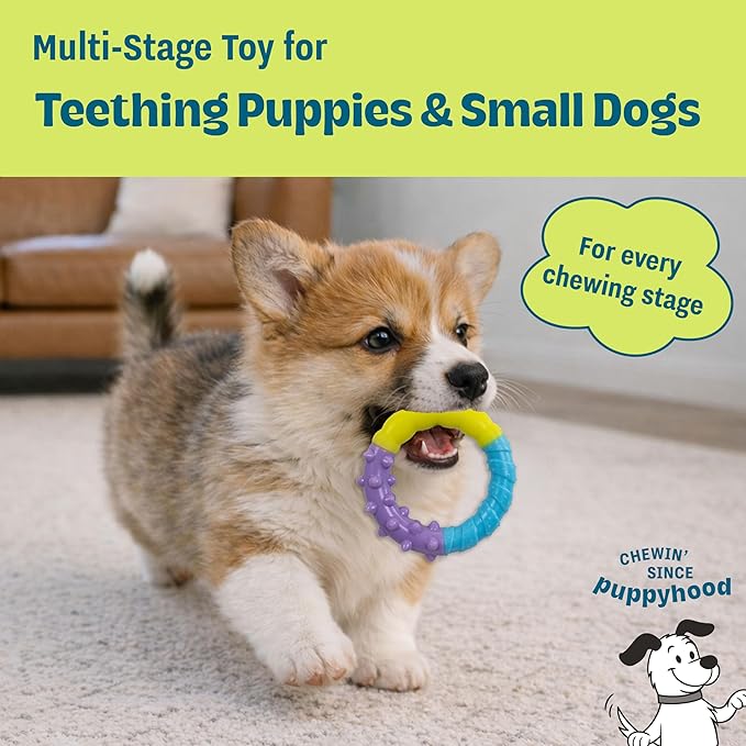 Grow-with-Me Ring Dog Chew Toy, Durable Rubber, 3 Texture Zones, Teething Puppies & Small Dogs, 4.7”