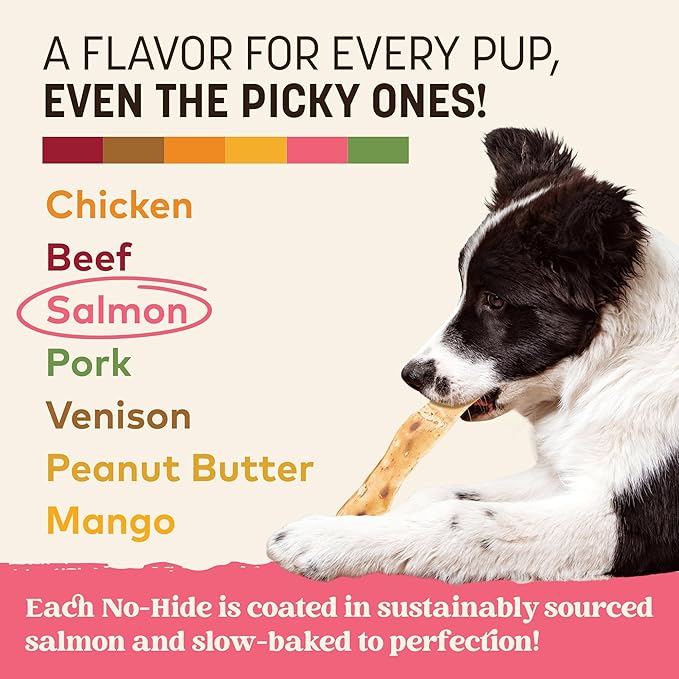 Earth Animal No Hide Strips - Natural Rawhide Free Dog Chew Strips, Salmon - 4 Count