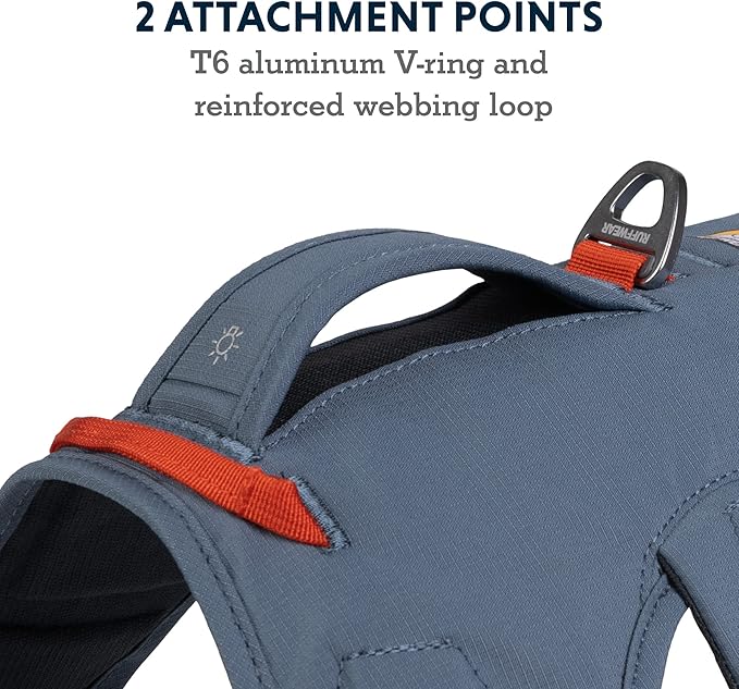 Ruffwear, Web Master, Multi-Use Support Dog Harness, Hiking and Trail Running, Service and Working, Everyday Wear, Slate Blue, XX-Small