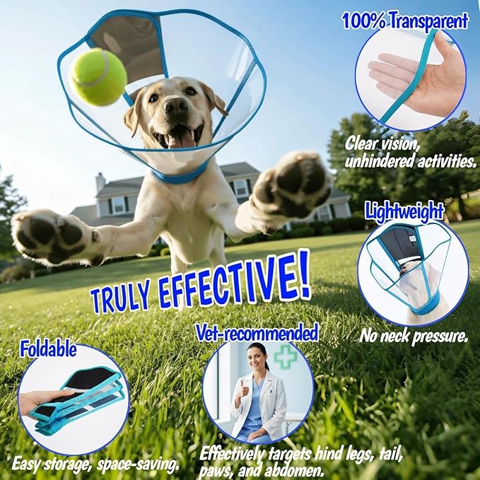 Adjustable Deep Dog Cone Collar for Dogs to Stop Licking, Soft Transparet E Collar for Medium Dogs After Surgery, Comfort Wound Recovery Cone with Padding, Foldable & Easy-Clean Pet Cone(Blue-Green,M)