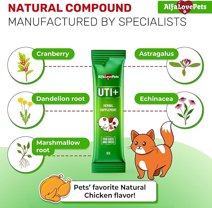 Cat UTI Treatment for Frequent Urination, Bladder & Kidney Irritation – Squeezable Dog UTI Treatment for Natural Care – Creamy UTI+ Cranberry Supplement for Dogs with Chicken Flavor – 10 Sticks x 5 g