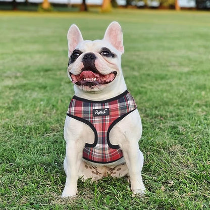 PUPTECK Soft Mesh Dog Harness and Leash Set Pet Puppy Cat Comfort Padded Vest No Pull Harnesses, Red Mixed, L