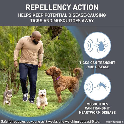 FRONTLINE Shield Flea & Tick Treatment for Small Dogs 11-20 lbs. Count of 6