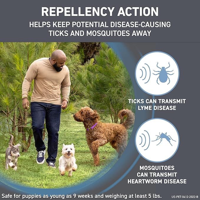 FRONTLINE Shield Flea & Tick Treatment for X-Small Dogs 5-10 lbs., Count of 6