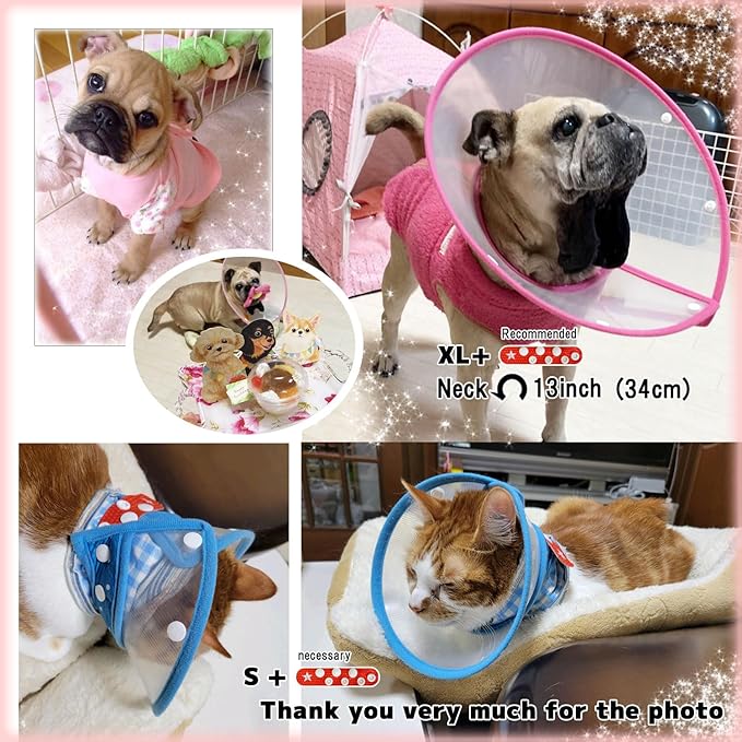 Lightweight Small Dog Cone Adjustable 5in 13in, Soft Cone for Cats to Stop Licking, Recovery Collar After Surgery(Green, M)