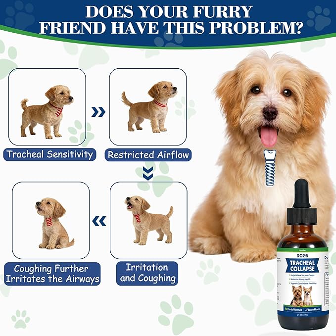 Dog Tracheal Collapse, Collapsed Trachea Treatment for Dogs, Herbal Liquid Drops Relief Cough & Helps Promote Easier Breathing, Natural Respiratory Support Airway Comfort, Bacon Flavor - 2 FL OZ