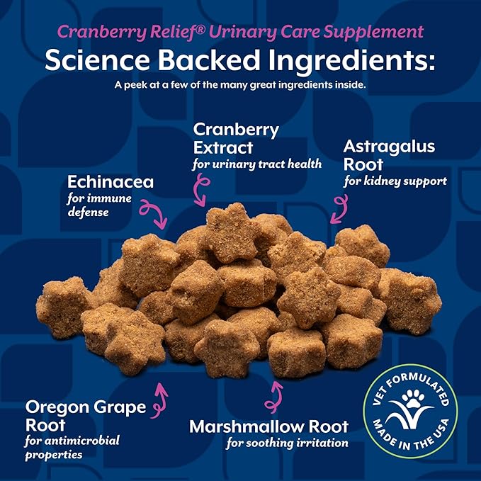 NaturVet Cranberry Relief Plus Echinacea for Cats, 60 ct Soft Chews, Made in The USA with Globally Source Ingredients