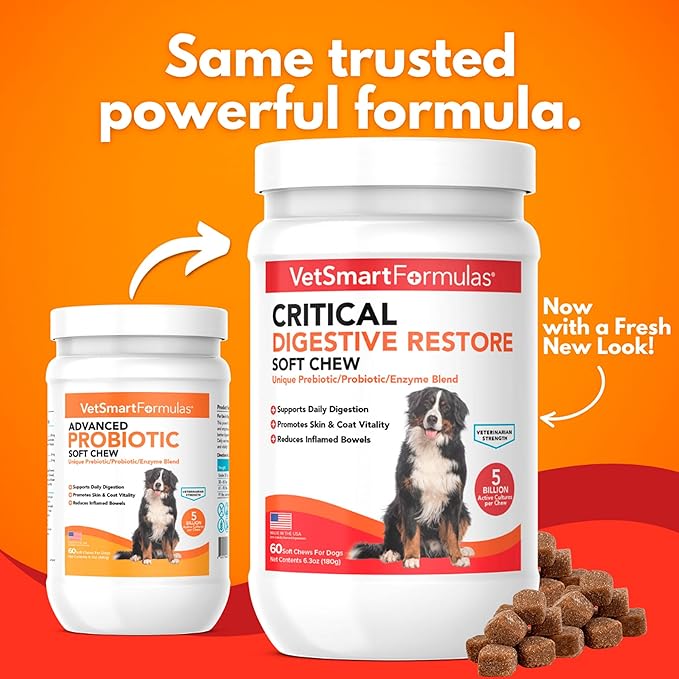 Critical Digestive Restore Soft Chews for Dogs - Veterinarian-Strength Probiotic Support for Optimal Health – with 10 Billion CFUs Per Dose