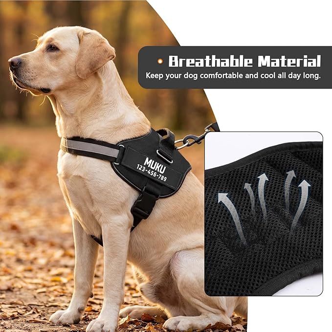 MUMUPET Custom Dog Harness Vest with 2 Personalized Name & Phone Patches, No Pull Reflective Adjustable with Handle, Soft Breathable Padding for Small Dogs (Black, S)