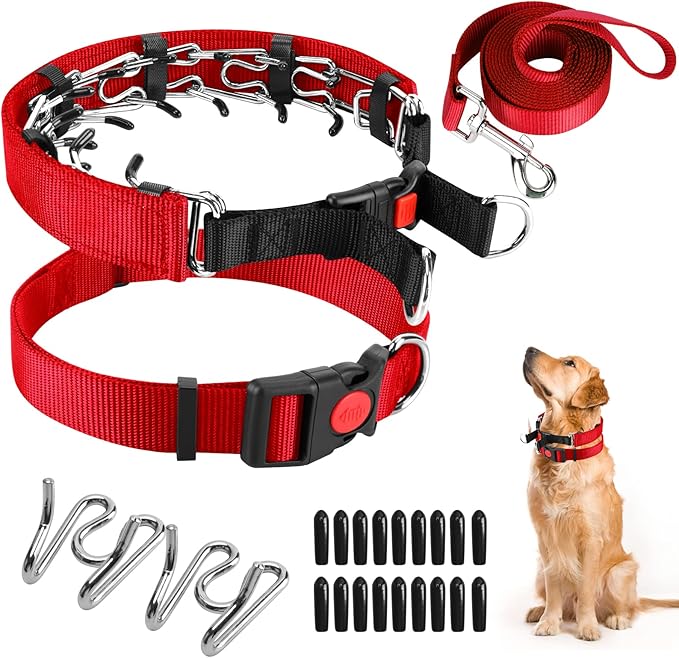 Prong Training Collar With Nylon Cover Comfort Tips and Quick Release Snap Buckle, Classic Collar and Leash for Small Medium Large Dogs