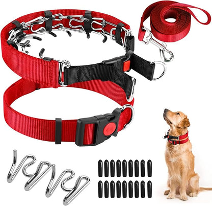 Prong Training Collar With Nylon Cover Comfort Tips and Quick Release Snap Buckle, Classic Collar and Leash for Small Medium Large Dogs
