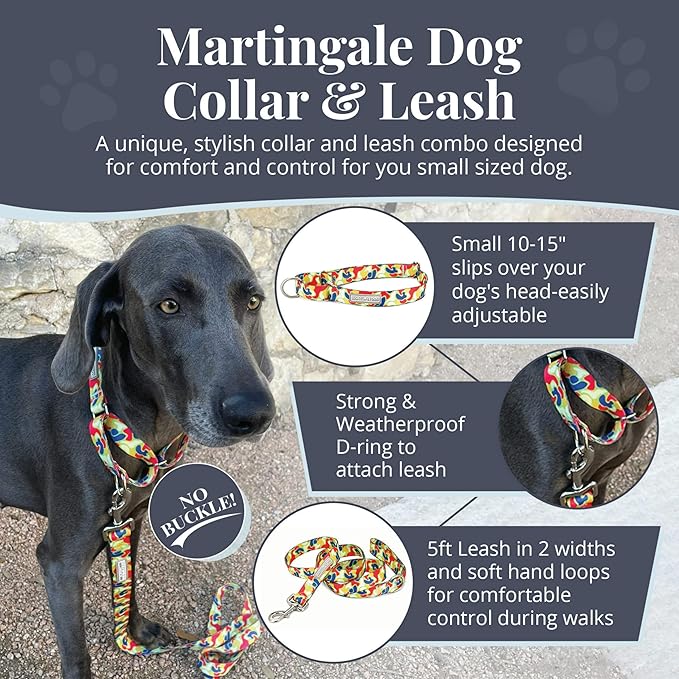 Lucky Love Dog Martingale Dog Collar & Leash - Adjustable, No-Slip, Durable, Comfortable, Soft Webbing, & Stylish Patterned Collar & Leash Set for Male and Female Dogs - Oscar Combo, Small