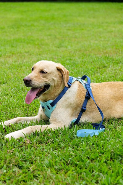 3 in 1 No Pull Dog Harness Leash and Collar Set, Soft Adjustable Dogs Vest Reflective and Comfortable Handle Blue X-Large