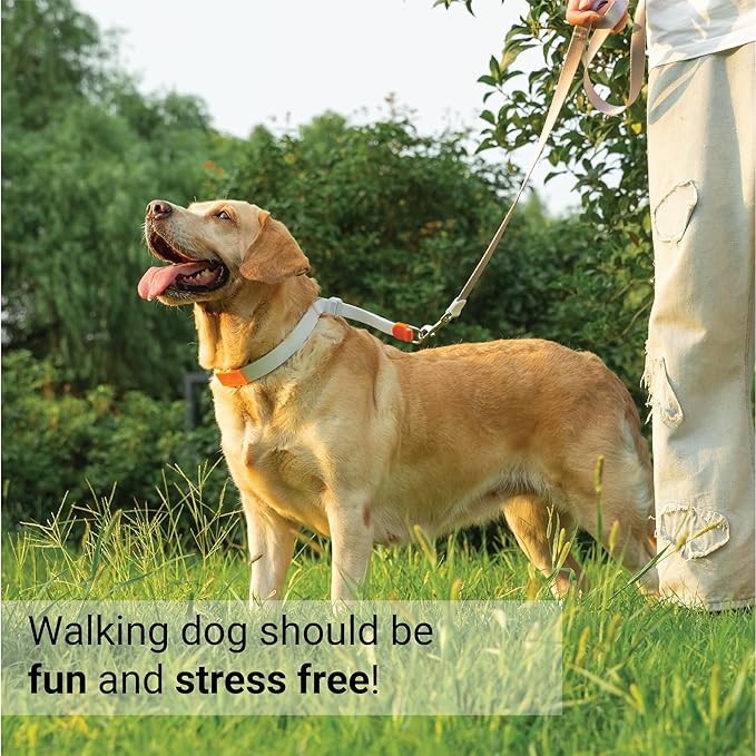 SVD.PET Dog Prong Collar for No-Pull Training, Quick-Release Buckle Adjustable Pinch Collar for Large Dogs (White, Large Size)