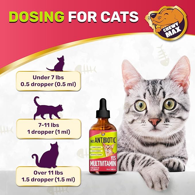 Cat Multivitamin Complex with Turkey Flavor – Natural Cat Antibiotic Liquid Alternative to Help with Allergies, UTIs & Cough – Herbal No Antibiotic Yes Multivitamin for All Breeds – 2 Oz
