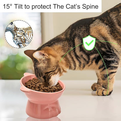 Elevated Cat Food Bowl,9 Oz Ceramic Raised and Tilted Water Bowl,Anti Vomiting and Protect Pets Spines Dishes for Fat Faced Cat, Indoor Cats,Kitten,Small Dog (Black)