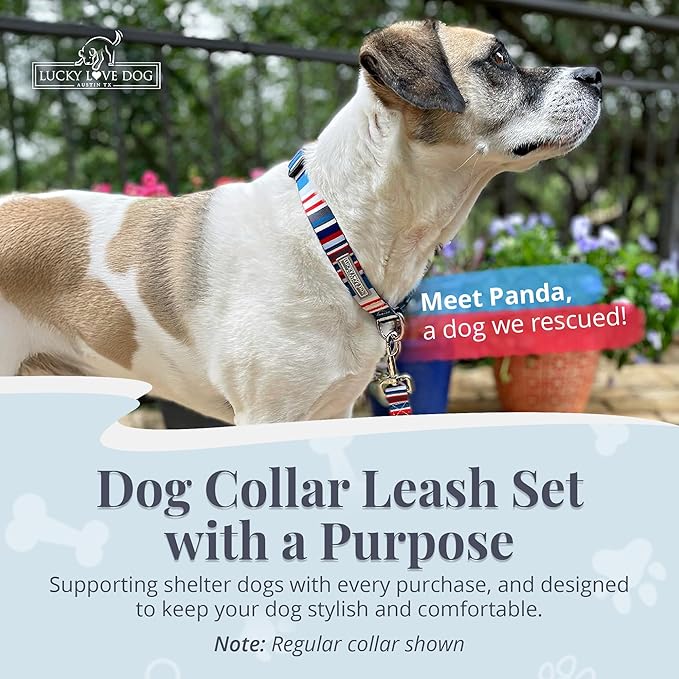Lucky Love Dog Martingale Dog Collar & Leash - Adjustable, No-Slip, Durable, Comfortable, Soft Webbing, & Stylish Patterned Collar & Leash Set for Male and Female Dogs - Linus Combo, Large