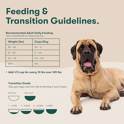 Jinx Premium Dog Food Dry for Large Breed - Adult Dog Food with Real Beef, Brown Rice & Sweet Potato Kibble with Antioxidants for Joint Health, Mobility & Immune Support - No Fillers - 30lb