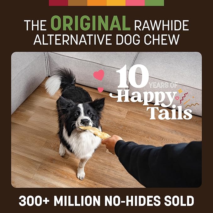 Earth Animal No Hide Strips - Natural Rawhide Free Dog Chew Strips, Pork - 4 Count