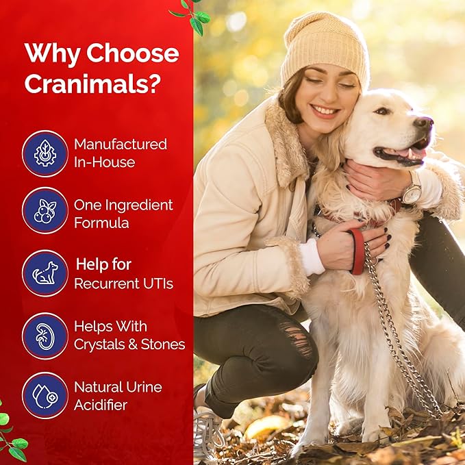 Cranimals Cranberry Powder for Dogs UTI Supplement 6 Month Supply, Prevents UTIs, Incontinence and Struvite Stones, Replaces antibiotics & Prescription Diets, clinically Tested.