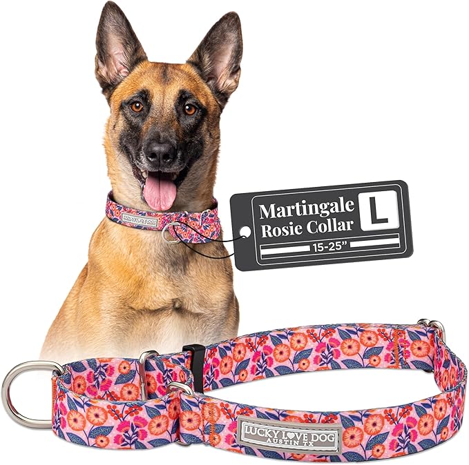 Lucky Love Dog Martingale Dog Collar - Adjustable, No-Slip, Durable, & Soft Webbing Collar for Male and Female Dogs Ideal for Training & Walking - Rosie, Large