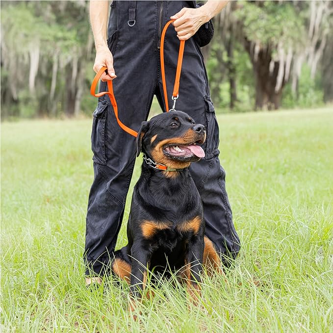 Herm Sprenger Chrome Plated Steel Dog Collar with Quick Release ClicLock Buckle O-Ring Biothane Insert Training Collar Made in Germany (Hunter Orange, 22in x 3.0mm(Neck Size up to 18-19in))
