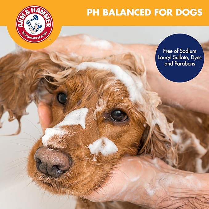 Arm & Hammer for Pets Odor Control Pet Shampoo, Value Size Bottle with Pump | Odor Eliminating Dog Shampoo | Great for All Dogs & Puppies, Fresh Kiwi Blossom Scent, 24 oz