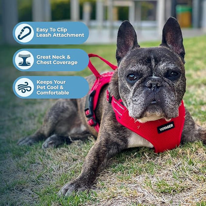 Best Pet Supplies Voyager Adjustable Step-in Flex Breathable Mesh Dog Harness for Small Medium Large Dogs Leash Set (Red), S