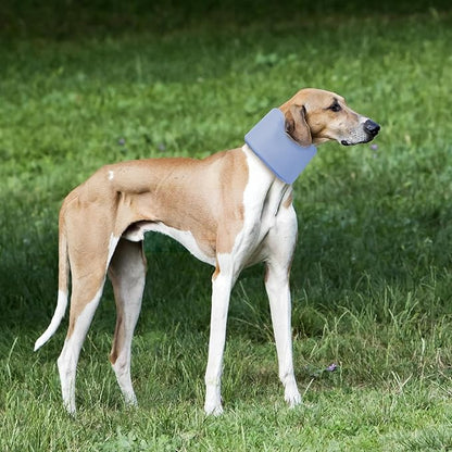 Dog Neck Brace for Pet After Surgery Recovery Adjustable Breathable Neck Cervical Cone，Dog Cone Collar Recovery Head Cone for Small Medium Dogs Puppies Kittens with Spinal IVDD Lssues