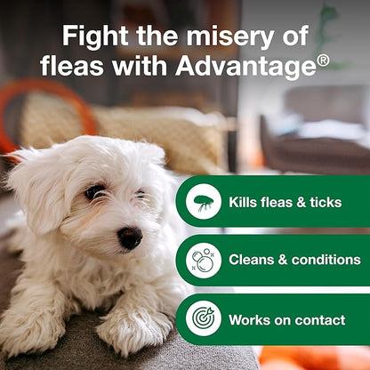 Advantage Dog Flea & Tick Shampoo for Puppies & Adult Dogs | Kills Fleas & Ticks | 24 oz.