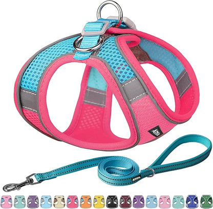 AIITLE Easy Walk Dog Harness and Leash Set - Pet Supply No Pull, Step in Adjustable Dog Harness with Padded Vest for All Weather, Dog Harness No Choke Over, Easy to Put on Medium Dogs Hot Pink L
