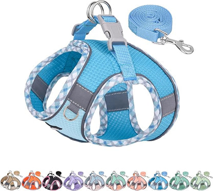 AIITLE Tiny Dog Harness - Lightweight Mesh Step-in Vest for Puppy, Reflective & Escape-Proof Design with High-Stick Magic Tape - Indoor/Outdoor Use for Chihuahua, Maltese, Shih Tzu(Blue, XXXS)