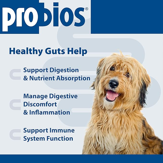 Probios Chewable Tablets for Dogs, Daily Probiotic Supplment for Gut Health, Digestion & Immune Support, 45 Count (Pack of 2)