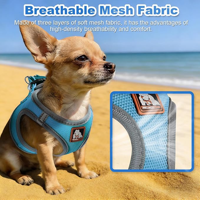 Dog Harness Medium Sized Dogs, Puppy Harness and Leash Set for Training, Running, Walking, Suitable for Small and Medium Dog Vest, Blue, XS