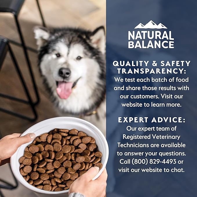 Natural Balance Health Protection Large Breed Dry Dog Food – Whole Body Health, Easy on Digestion Dog Food Made with Salmon, Brown Rice & Pumpkin for Dogs - 26lbs