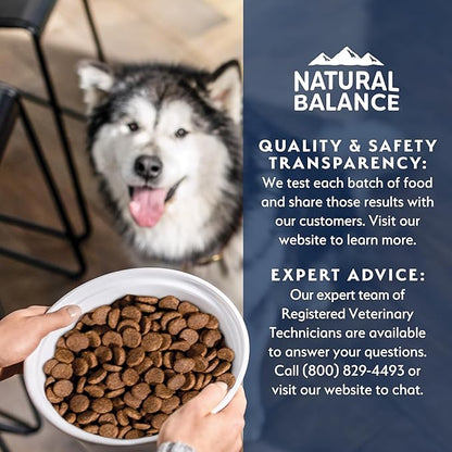 Natural Balance Health Protection Large Breed Dry Dog Food – Whole Body Health, Easy on Digestion Dog Food Made with Salmon, Brown Rice & Pumpkin for Dogs - 26lbs
