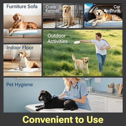 CLEAN SPACES Charcoal Puppy Pads 100 Count, Disposable Pee Pads for Dogs / Wee Wee Pads / Potty Training Pads, Underpads with Activated Carbon to Eliminate Odor, 22"x22"