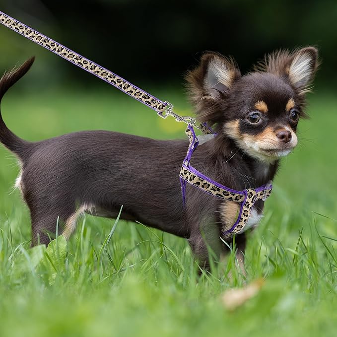 Mile High Life Leopard Dog Harness Collar Leash Set, Adjustable No Pull Dog Halter Harness for Small Breed Dogs, Easy Control for Training Walking (Purple, M Chest 15"-21", Neck 13"-17")