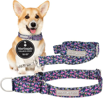 Lucky Love Dog Martingale Dog Collar & Leash - Adjustable, No-Slip, Durable, Comfortable, Soft Webbing, & Stylish Patterned Collar & Leash Set for Male and Female Dogs - Primrose Combo, Small