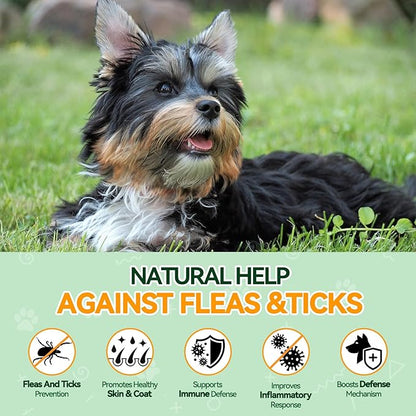 Carmelie Flea and Tick Prevention for Dogs - 200 Chews Natural Dog Flea and Tick Support, Oral Flea Supplement for All Dogs, Supports Healthy Skin & Coat, Puppy Flea Protection - Chicken Flavor